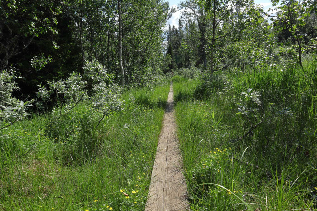 Sommeraktivitäten rund um Das Flachshaus (Photo 15)