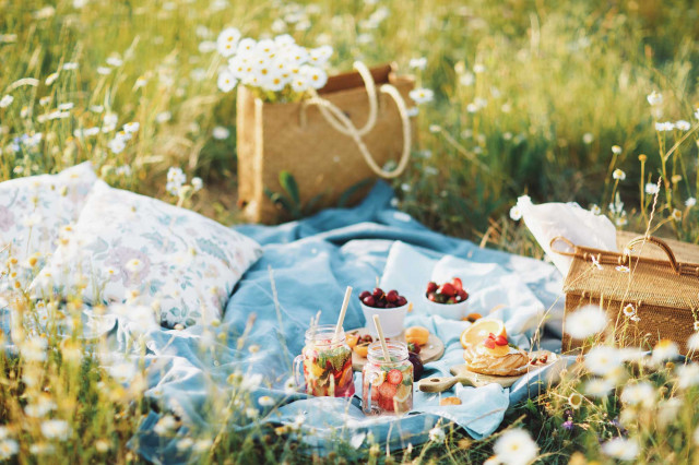 Sommeraktivitäten rund um Das Flachshaus (Photo 16)