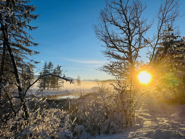 Winteraktivitäten rund um Das Flachshaus (Photo 8)