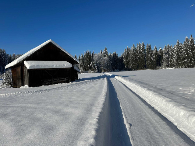 Winteraktivitäten rund um Das Flachshaus (Photo 9)