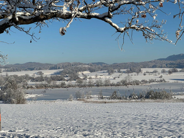 Winteraktivitäten rund um Das Flachshaus (Photo 10)